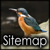 Sitemap -サイトマップ-