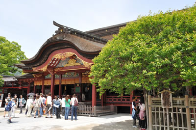 太宰府天満宮（飛梅）