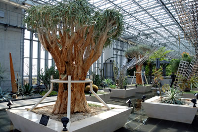 奇跡の星の植物館