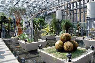 奇跡の星の植物館