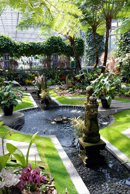 奇跡の星の植物館