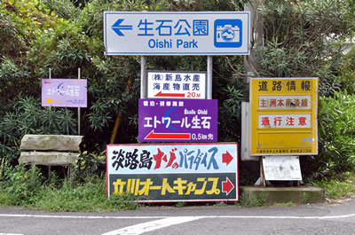 謎のパラダイス（立川水仙郷）
