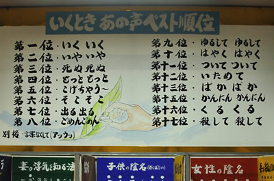 謎のパラダイス（立川水仙郷）