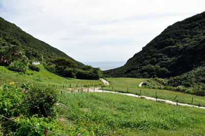 謎のパラダイス（立川水仙郷）