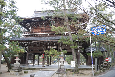 天橋立（智恩寺）