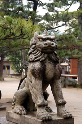 天橋立（智恩寺）