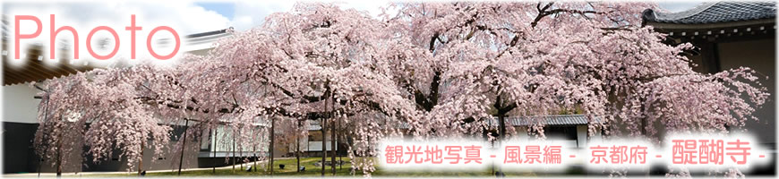 Photograph（観光写真）風景編-京都府（醍醐寺）-