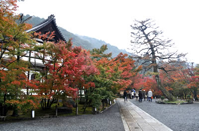 禅林寺（永観堂）釈迦堂