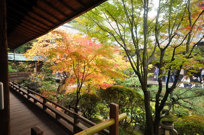 禅林寺（永観堂）