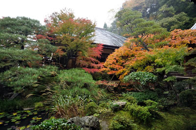 禅林寺（永観堂）