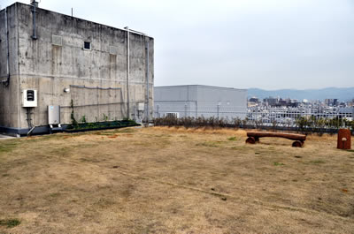 京都府庁（京てらす）