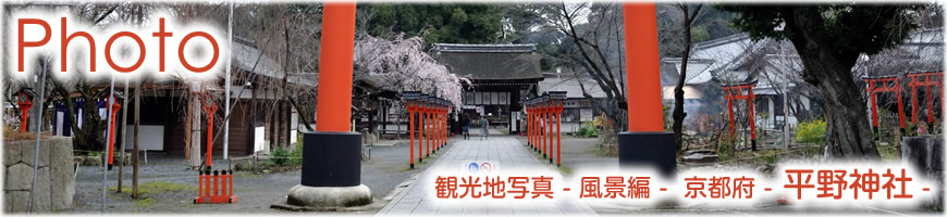 Photograph（観光写真）風景編-京都府（平野神社）-