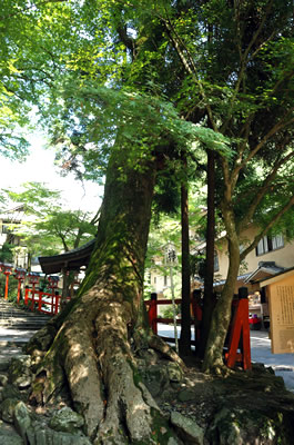 貴船神社（本宮）