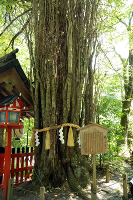 貴船神社（本宮）