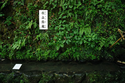 貴船神社（水占いおみくじ）