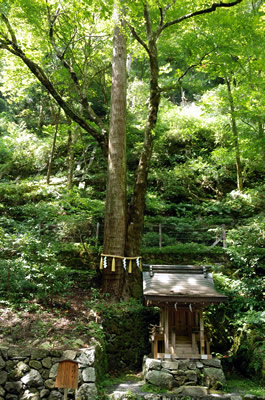 貴船神社（奥宮）
