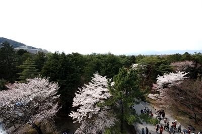 南禅寺（三門からの景色）