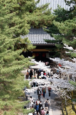 南禅寺（三門からの景色）