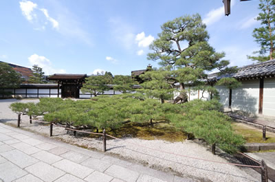 仁和寺