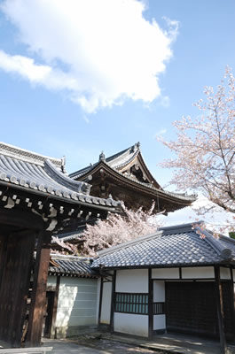 仁和寺
