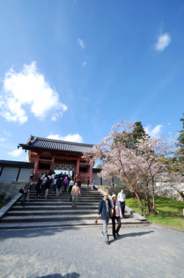 仁和寺