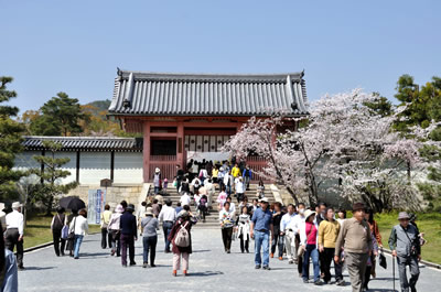 仁和寺