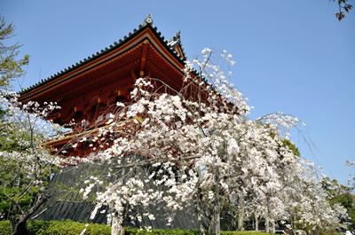 仁和寺（鐘楼）