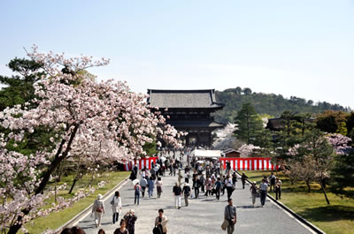 仁和寺