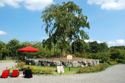 東寺