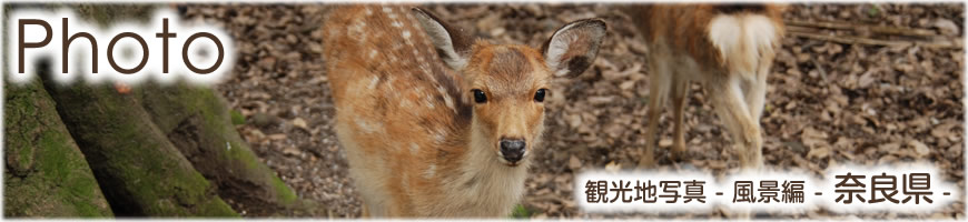 Photograph（観光写真）風景編-奈良県-