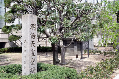 大阪造幣局桜の通り抜け