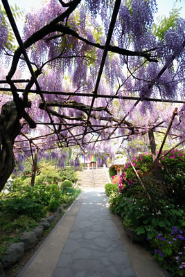 子安地蔵寺