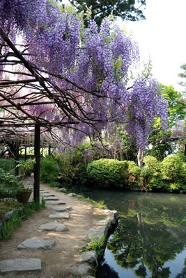 子安地蔵寺