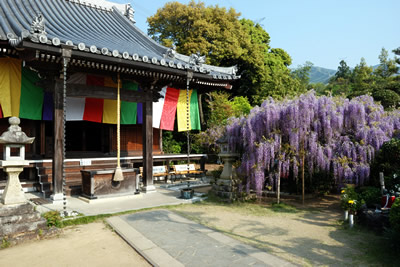 子安地蔵寺
