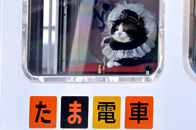 たま電車（たま駅長）